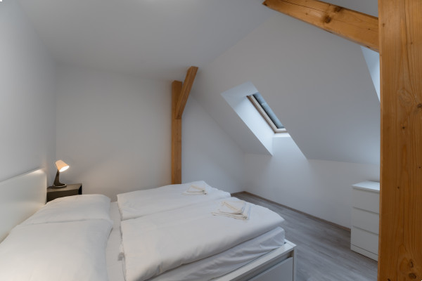 Mlýn Herlíkovice Apt. 4.01