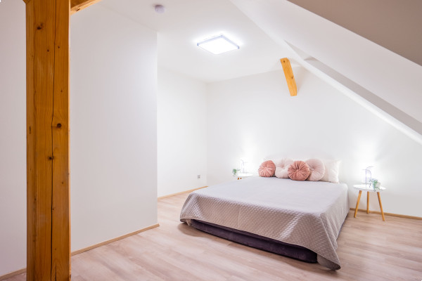 Mlýn Herlíkovice Apt. 4.05
